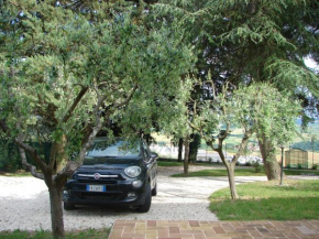 Hotels in Mogliano Macerata